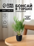 Искусственный цветок в горшке «Хамедорея», 9×30 см - Фото 1