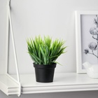 Искусственный цветок в горшке «Зелень люкс», 7×11 см - Фото 1