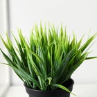 Искусственный цветок в горшке «Зелень люкс», 7×11 см - Фото 2