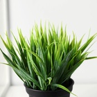 Искусственный цветок в горшке «Зелень люкс», 7×11 см - Фото 3