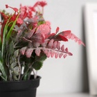 Искусственный цветок в горшке «Скабиоза», 7×14 см, МИКС - Фото 2