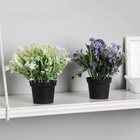 Искусственный цветок в горшке «Скабиоза», 7×14 см, МИКС - Фото 5