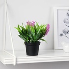 Искусственный цветок в горшке «Аллиум люкс», 7×12 см, МИКС - Фото 1