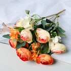 Букет "Роза клуни" 4х27 см, микс - Фото 3