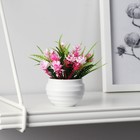 Бонсай в горшке "Махровые цветы" 5,5х10 см, микс - фото 320169814