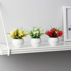 Бонсай в горшке "Махровые цветы" 5,5х10 см, микс - Фото 3