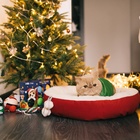 Лежанка «Снежок», 56×46×13 см, синяя - Фото 10