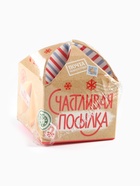 Печенье с предсказанием «Счастливая посылка», 1 шт x 6 г. - фото 809102151