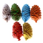 Набор еловых шишек для декора «Цветные» 6 шт., МИКС - фото 10966162