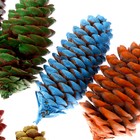 Набор еловых шишек для декора «Цветные» 6 шт., МИКС - фото 10966163