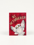 Подарочный набор гифтбокс «Новогодус Поздравлятус» - Фото 18