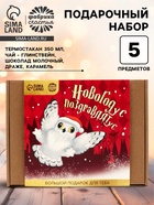 Подарочный набор новогодний гифтбокс «Новогодус Поздравлятус» - Фото 1