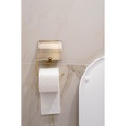 Держатель для туалетной бумаги с крышкой Штольц Stölz bacic, серия Bronze - фото 7656970