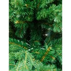 Ёлка искусственная Green trees «Ле-ман», премиум, узкая, 150 см - фото 30907698