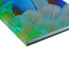 Колледж-тетрадь Calligrata TOP «Перья» А4, 160 листов, в клетку, в твёрдой обложке 7БЦ, матовая ламинация, выборочный лак - Фото 3