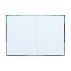 Колледж-тетрадь в твердой обложке 7БЦ, А4, 160 листов, Перья, блок в клетку, матовая ламинация, ВЫБОРОЧНЫЙ ЛАК - Фото 4