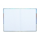 Колледж-тетрадь Calligrata TOP «Перья» А4, 160 листов, в клетку, в твёрдой обложке 7БЦ, матовая ламинация, выборочный лак 9618813