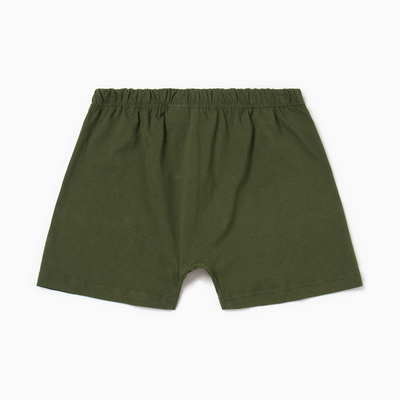 Трусы мужские боксеры Collorista цвет хаки, р-р 44-46