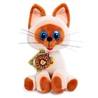 Мягкая музыкальная игрушка «Котёнок Гав», 23 см - Фото 1