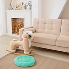 Лежанка для собак и кошек «Уют», мягкий мех, 45×35×11 см, мятная - Фото 3