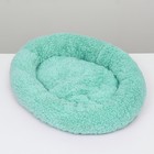 Лежанка для собак и кошек «Уют», мягкий мех, 45×35×11 см, мятная - Фото 5