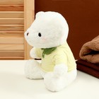 Мягкая игрушка «Белый медведь» в зелёной кофте, 26 см - Фото 2