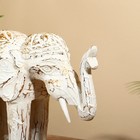 Сувенир "Слон" албезия 26х10х18 см - фото 7672352