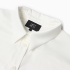 Рубашка шелковая MIST plus-size, р. 54, молочный 9728633 - фото 14234220