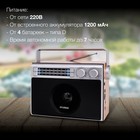 Радиоприемник настольный Hyundai H-SRS105 коричневый USB SD/microSD - фото 51348964 Радиоприемник настольный Hyundai H-SRS105 коричневый USB SD/microSD - фото 51348964