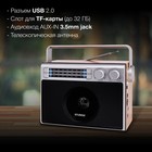Радиоприемник настольный Hyundai H-SRS105 коричневый USB SD/microSD - фото 51348965 Радиоприемник настольный Hyundai H-SRS105 коричневый USB SD/microSD - фото 51348965