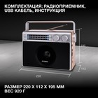 Радиоприемник настольный Hyundai H-SRS105 коричневый USB SD/microSD - фото 51348966 Радиоприемник настольный Hyundai H-SRS105 коричневый USB SD/microSD - фото 51348966