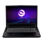 Ноутбук Hiper G16 Core i7 11700 16Gb SSD1Tb NVIDIA GeForce RTX 3070 8Gb 16.1" IPS FHD (1920x   10045 10045452 - фото 176241