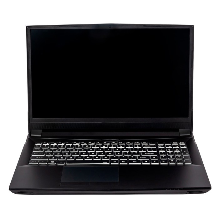 Ноутбук Hiper G16 Core i7 11700 16Gb SSD1Tb NVIDIA GeForce RTX 3070 8Gb 16.1" IPS FHD (1920x   10045 - фото 51352151