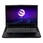 Ноутбук Hiper G16 Core i7 11700 32Gb SSD1Tb NVIDIA GeForce RTX 3070 8Gb 16.1" IPS FHD (1920x   10045 - фото 51352174