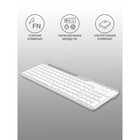 Клавиатура A4Tech Fstyler FK25 белый/серый USB slim - Фото 3