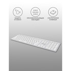 Клавиатура A4Tech Fstyler FX50 белый USB slim Multimedia (FX50 WHITE) - Фото 2