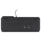 Клавиатура Оклик 715G черный USB Multimedia for gamer LED (1680657) - фото 51354782 Клавиатура Оклик 715G черный USB Multimedia for gamer LED (1680657) - фото 51354782