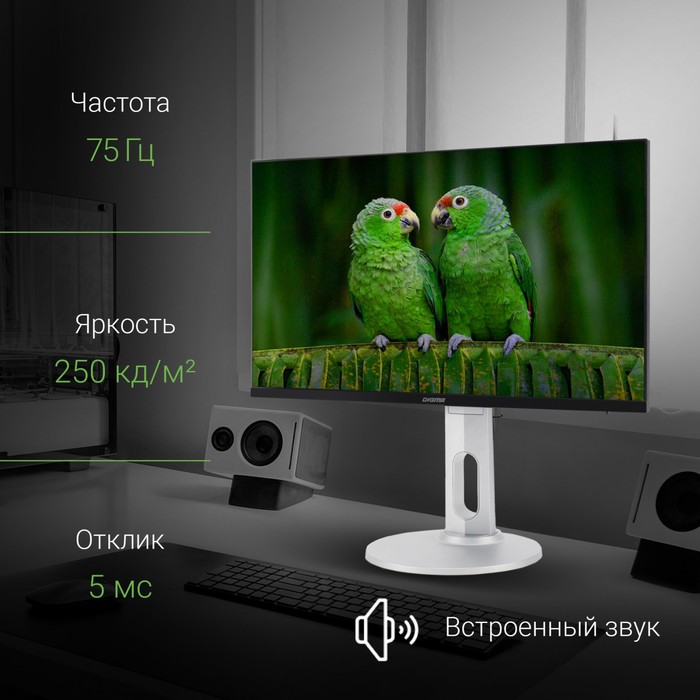 Монитор Digma 23.8" DM-MONB2408 черный IPS LED 5ms 16:9 HDMI M/M матовая HAS Piv 250cd 178гр   10046 - фото 51359801