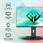 Монитор GMNG 23.8"Gaming GM-24F01 черный IPS LED 1ms 16:9 HDMI матовая HAS Piv 280cd 178гр/ - фото 51359980 Монитор GMNG 23.8"Gaming GM-24F01 черный IPS LED 1ms 16:9 HDMI матовая HAS Piv 280cd 178гр/ - фото 51359980
