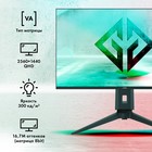 Монитор GMNG 31.5"Gaming GM-32F11 черный LED 1ms 16:9 HDMI M/M матовая HAS Piv 300cd 178гр/ - фото 51360000