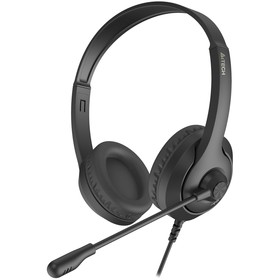 Наушники с микрофоном A4Tech Fstyler FH100i черный 1.8м накладные оголовье (FH100I (STONE BL   10046