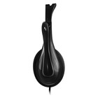 Наушники с микрофоном A4Tech HS-9 черный 1.8м накладные оголовье (HS-9 (BLACK)) - фото 51360974 Наушники с микрофоном A4Tech HS-9 черный 1.8м накладные оголовье (HS-9 (BLACK)) - фото 51360974