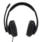 Наушники с микрофоном Hama HS-USB300 черный 2м мониторные оголовье (00139924) - фото 51361063 Наушники с микрофоном Hama HS-USB300 черный 2м мониторные оголовье (00139924) - фото 51361063