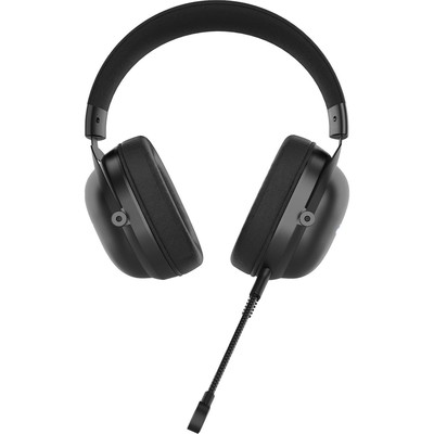 Наушники с микрофоном Acer AHW122 черный 2.1м мониторные USB оголовье (ZL.HDSCC.01U)