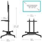 Стойка для телевизора Onkron TS1351 черный 32"-65" макс.50кг напольный мобильный - Фото 2