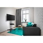 Стойка для телевизора Onkron TS1351 черный 32"-65" макс.50кг напольный мобильный - Фото 7