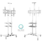Подставка для телевизора Onkron TS1552 белый 40"-70" макс.60.5кг напольный мобильный - фото 51436573 Подставка для телевизора Onkron TS1552 белый 40"-70" макс.60.5кг напольный мобильный - фото 51436573