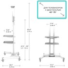 Подставка для телевизора Onkron TS1552 белый 40"-70" макс.60.5кг напольный мобильный - фото 51436574 Подставка для телевизора Onkron TS1552 белый 40"-70" макс.60.5кг напольный мобильный - фото 51436574