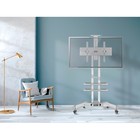 Подставка для телевизора Onkron TS1552 белый 40"-70" макс.60.5кг напольный мобильный - фото 51436577 Подставка для телевизора Onkron TS1552 белый 40"-70" макс.60.5кг напольный мобильный - фото 51436577