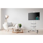 Подставка для телевизора Onkron TS1552 белый 40"-70" макс.60.5кг напольный мобильный - фото 51436579 Подставка для телевизора Onkron TS1552 белый 40"-70" макс.60.5кг напольный мобильный - фото 51436579
